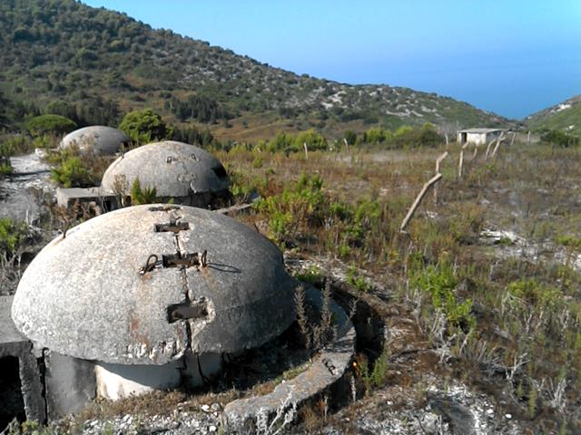 2016081109271684szsyr_image5