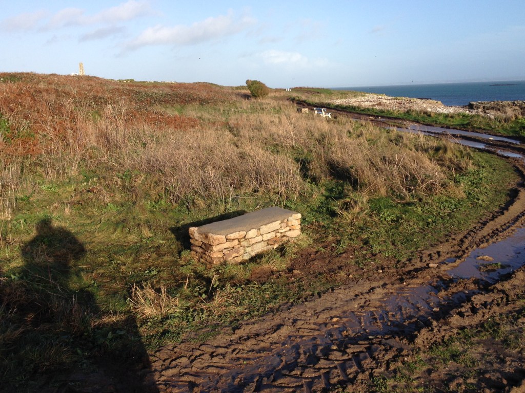 Muret maçonné aspect pierre&nbsp;sèche