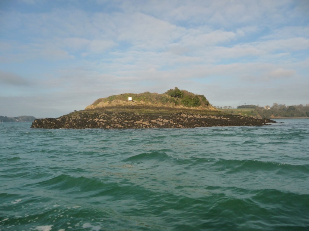 Limitation de la population de rats surmulot sur l&rsquo;île Notre Dame (Saint Jouan-des-Guérêts, 35)