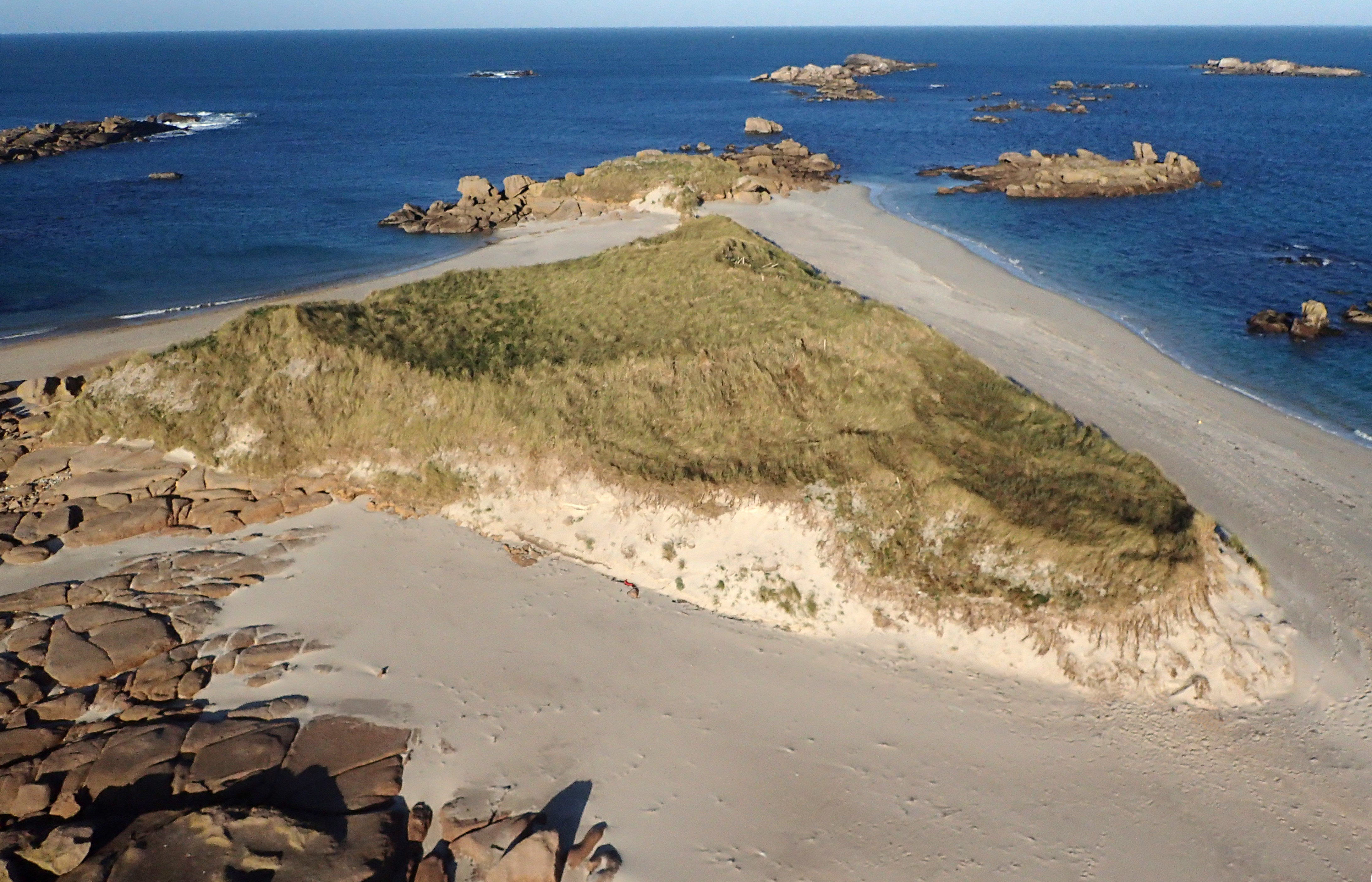 P1190729 sans matos.jpg