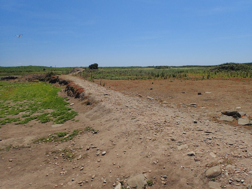 Restauration du chemin-digue menant à la chapelle Saint-Corentin – Ile de&nbsp;Sein