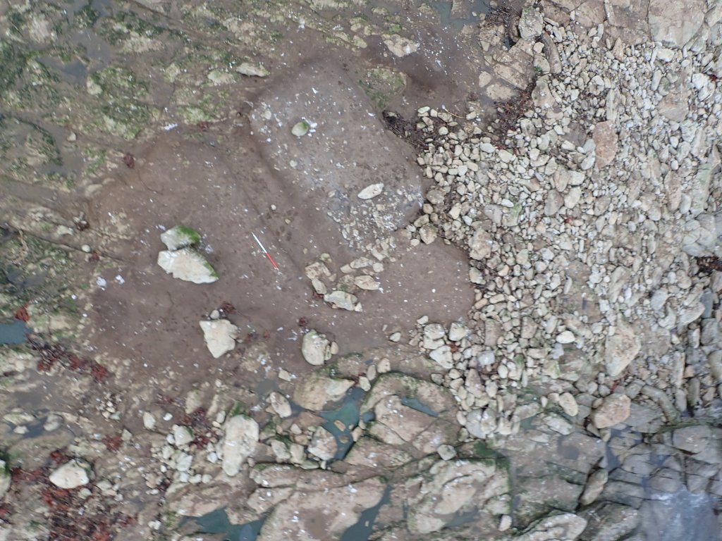 ALeRT : Intervention archéologique sur l&rsquo;île Trévorc&rsquo;h (Saint-Pabu,&nbsp;29)